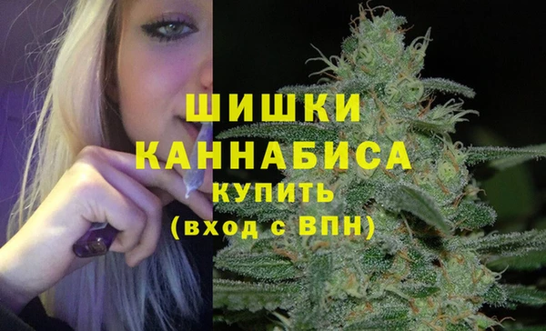 mdpv Гусев