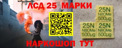 спиды Гай