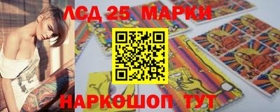 спиды Гай