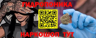 спиды Гай
