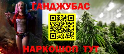 спиды Гай
