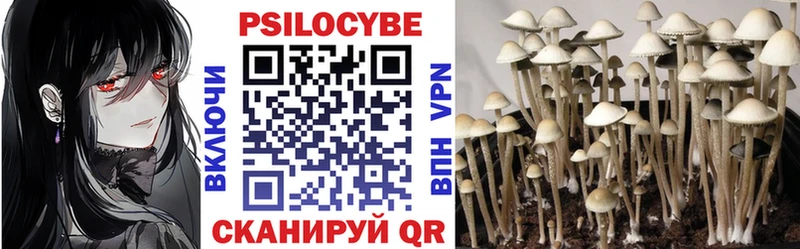 Псилоцибиновые грибы Cubensis  Зеленогорск 