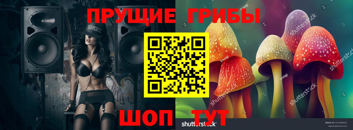 Зеленогорск  Псилоцибиновые грибы Psilocybe  купить   Вход с VPN 