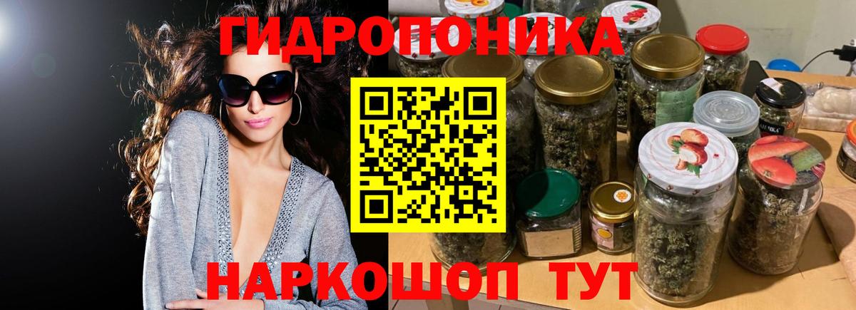 Шишки марихуана тримм  Бошки Шишки план  Марихуана тримм  Зеленогорск  Вход с VPN 